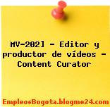 MV-202] – Editor y productor de vídeos – Content Curator