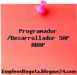 Programador /Desarrollador SAP ABAP