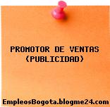 PROMOTOR DE VENTAS (PUBLICIDAD)