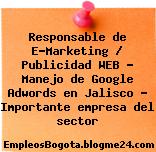 Responsable de E-Marketing / Publicidad WEB – Manejo de Google Adwords en Jalisco – Importante empresa del sector