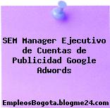 SEM Manager Ejecutivo de Cuentas de Publicidad Google Adwords