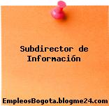 Subdirector de Información