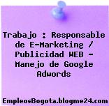 Trabajo : Responsable de E-Marketing / Publicidad WEB – Manejo de Google Adwords