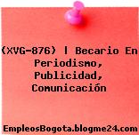 (XVG-876) | Becario En Periodismo, Publicidad, Comunicación