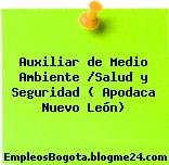 Auxiliar de Medio Ambiente /Salud y Seguridad ( Apodaca Nuevo León)