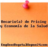 Becario(a) de Pricing y Economía de la Salud