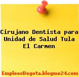 Cirujano Dentista para Unidad de Salud Tula El Carmen
