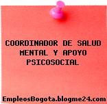 COORDINADOR DE SALUD MENTAL Y APOYO PSICOSOCIAL