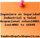 Ingeniero en Seguridad Industrial y Salud Ocupacional oshas18001 iso14001 ts 16949