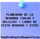 PLANEADOR DE LA DEMANDA (SALUD Y BELLEZA) – LOMAS DE VISTA HERMOSA | KS781