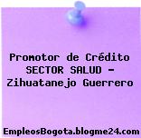 Promotor de credito Sector Salud Zihuatanejo, Guerrero