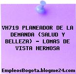 VH719 PLANEADOR DE LA DEMANDA (SALUD Y BELLEZA) – LOMAS DE VISTA HERMOSA