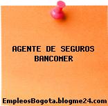 AGENTE DE SEGUROS BANCOMER