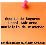 Agente de Seguros Canal Gobierno Municipio de RioVerde