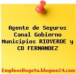 Agente de Seguros Canal Gobierno Municipios RIOVERDE y CD FERNANDEZ