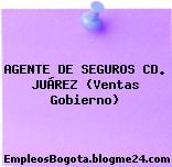 AGENTE DE SEGUROS CD. JUÁREZ (Ventas Gobierno)