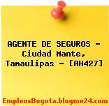 AGENTE DE SEGUROS – Ciudad Mante, Tamaulipas – [AH427]