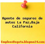 Agente de seguros de autos La Paz,Baja California
