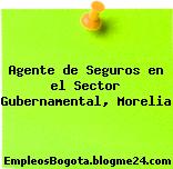 Agente de Seguros en el Sector Gubernamental, Morelia