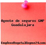 Agente de seguros GNP Guadalajara