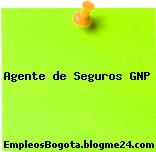 AGENTE DE SEGUROS GNP