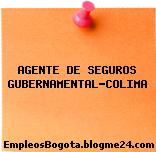 AGENTE DE SEGUROS GUBERNAMENTAL-COLIMA