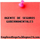 AGENTE DE SEGUROS GUBERNAMENTALES