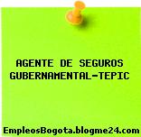 AGENTE DE SEGUROS GUBERNAMENTAL-TEPIC