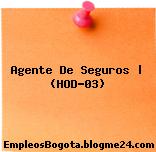 Agente De Seguros | (HOD-03)