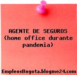 AGENTE DE SEGUROS (home office durante pandemia)