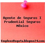 Agente de Seguros I Prudential Seguros México