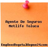 Agente De Seguros | MetLife Toluca
