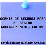 AGENTE DE SEGUROS PARA EL SECTOR GUBERNAMENTAL, COLIMA