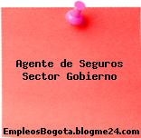 AGENTE DE SEGUROS- SECTOR GOBIERNO