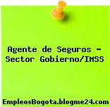 Agente de Seguros – Sector Gobierno/IMSS