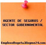 AGENTE DE SEGUROS SECTOR GUBERNAMENTAL