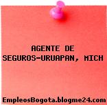 AGENTE DE SEGUROS-URUAPAN, MICH