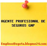 AGENTE PROFESIONAL DE SEGUROS GNP
