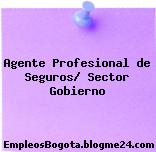 Agente Profesional de Seguros/ Sector Gobierno
