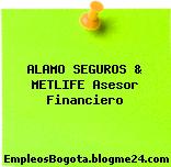 ALAMO SEGUROS & METLIFE Asesor Financiero