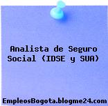 Analista de Seguro Social (IDSE y SUA)