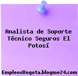 Analista de Soporte Técnico – Seguros El Potosí