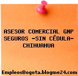 ASESOR COMERCIAL GNP SEGUROS -SIN CÉDULA- CHIHUAHUA