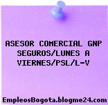 ASESOR COMERCIAL GNP SEGUROS/LUNES A VIERNES/PSL/L-V