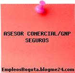 ASESOR COMERCIAL/GNP SEGUROS
