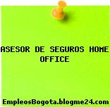 ASESOR DE SEGUROS HOME OFFICE