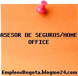 ASESOR DE SEGUROS/HOME OFFICE