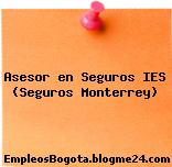Asesor en Seguros IES (Seguros Monterrey)