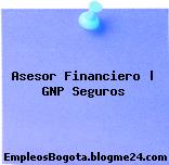 Asesor Financiero | GNP Seguros