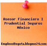 Asesor Financiero I Prudential Seguros México